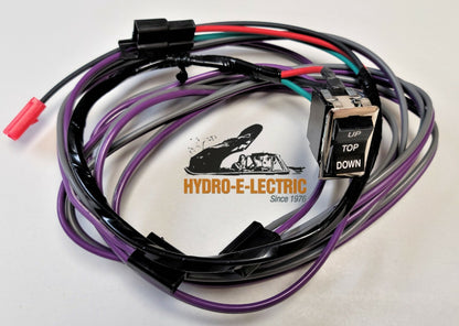 Convertible Top Switch & Wiring Harness 1969-1970 Pontiac Bonneville